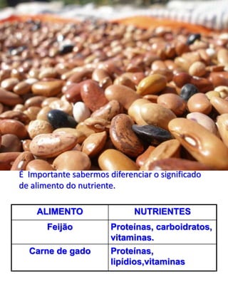 É Importante sabermos diferenciar o significado
de alimento do nutriente.
ALIMENTO NUTRIENTES
Feijão Proteínas, carboidratos,
vitaminas.
Carne de gado Proteínas,
lipídios,vitaminas
 