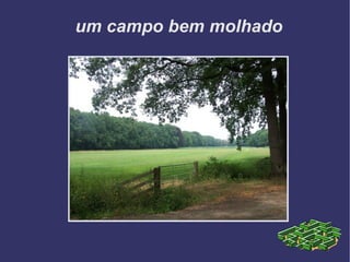 um campo bem molhado 