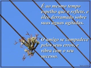É ao mesmo tempo espelho que o reflete, e óleo derramado sobre suas águas agitadas.  O amigo se compadece pelos seus erros, e vibra com o seu sucesso.  
