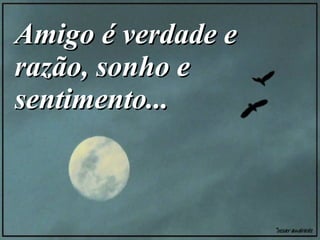 Amigo é verdade e razão, sonho e sentimento...   