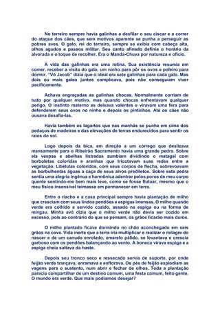 No terreiro sempre havia galinhas a desfilar o seu ciscar e a correr
do ataque dos cães, que sem motivos aparente se punha a perseguir as
pobres aves. O galo, rei do terreiro, sempre se exibia com cabeça alta,
olhos agudos e passos militar. Seu canto afinado definia o horário da
alvorada e o toque de recolher. Era o Manda-Chuva por natureza e ofício.
A vida das galinhas era uma rotina. Sua existência resumia em
comer, receber a visita do galo, um ninho para pôr os ovos e poleiro para
dormir. “Vô Jacob” dizia que o ideal era sete galinhas para cada galo. Mas
dois ou mais galos juntos complicava, pois não conseguiam viver
pacificamente.
Achava engraçadas as galinhas chocas. Normalmente corriam de
tudo por qualquer motivo, mas quando chocas enfrentavam qualquer
perigo. O instinto materno as deixava valentes e viravam uma fera para
defenderem seus ovos no ninho e depois os pintinhos. Até os cães não
ousava desafia-las.
Havia também os lagartos que nas manhãs se punha em cima dos
pedaços de madeiras e das elevações de terras endurecidos para sentir os
raios do sol.
Logo depois da bica, em direção a um córrego que deslizava
mansamente para o Ribeirão Sacramento havia uma grande pedra. Sobre
ela vespas e abelhas listradas zumbiam dividindo o matagal com
borboletas coloridas e aranhas que tricotavam suas redes entre a
vegetação. Libélulas coloridos, com seus corpos de flecha, sobrevoavam
as borbulhentas águas a caça de seus alvos prediletos. Sobre esta pedra
sentia uma alegria ingênua e harmônica adentrar pelos poros de meu corpo
quente sentindo-me bem mais leve, como se fosse flutuar, mesmo que o
meu físico insensível teimasse em permanecer em terra.
Entre o riacho e a casa principal sempre havia plantação de milho
que cresciam com seus lindos pendões e espigas imensas. O milho quando
verde era colhido e servido cozido, assado na espiga ou na forma de
mingau. Minha avó dizia que o milho verde não devia ser cozido em
excesso, pois ao contrário do que se pensam, os grãos ficarão mais duros.
O milho plantado ficava dormindo no chão aconchegado em seis
grãos na cova. Vida inerte que a terra iria multiplicar e realizar o milagre do
nascer e de um canudo enrolado, amarelo pálido, se levantava e crescia
garboso com os pendões balançando ao vento. A boneca virava espiga e a
espiga cheia saltava da haste.
Depois seu tronco seco e ressecado servia de suporte, por onde
feijão verde trançava, enramava e enflorava. Os pés de feijão explodiam as
vagens para o sustento, num abrir e fechar de olhos. Toda a plantação
parecia compartilhar de um destino comum, uma festa comum, feito gente.
O mundo era verde. Que mais podíamos desejar?
 