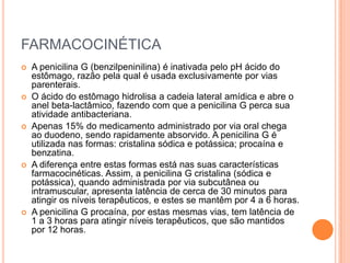 FARMACOCINÉTICA
 A penicilina G (benzilpeninilina) é inativada pelo pH ácido do
estômago, razão pela qual é usada exclusivamente por vias
parenterais.
 O ácido do estômago hidrolisa a cadeia lateral amídica e abre o
anel beta-lactâmico, fazendo com que a penicilina G perca sua
atividade antibacteriana.
 Apenas 15% do medicamento administrado por via oral chega
ao duodeno, sendo rapidamente absorvido. A penicilina G é
utilizada nas formas: cristalina sódica e potássica; procaína e
benzatina.
 A diferença entre estas formas está nas suas características
farmacocinéticas. Assim, a penicilina G cristalina (sódica e
potássica), quando administrada por via subcutânea ou
intramuscular, apresenta latência de cerca de 30 minutos para
atingir os níveis terapêuticos, e estes se mantêm por 4 a 6 horas.
 A penicilina G procaína, por estas mesmas vias, tem latência de
1 a 3 horas para atingir níveis terapêuticos, que são mantidos
por 12 horas.
 
