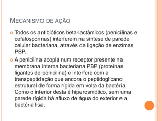 MECANISMO DE AÇÃO
 Todos os antibióticos beta-lactâmicos (penicilinas e
cefalosporinas) interferem na síntese de parede
celular bacteriana, através da ligação de enzimas
PBP.
 A penicilina acopla num receptor presente na
membrana interna bacteriana PBP (proteínas
ligantes de penicilina) e interfere com a
transpeptidação que ancora o peptidoglicano
estrutural de forma rígida em volta da bactéria.
Como o interior desta é hiperosmótico, sem uma
parede rígida há afluxo de água do exterior e a
bactéria lisa.
 