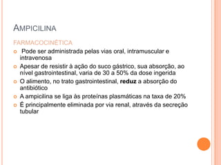 AMPICILINA
FARMACOCINÉTICA
 Pode ser administrada pelas vias oral, intramuscular e
intravenosa
 Apesar de resistir à ação do suco gástrico, sua absorção, ao
nível gastrointestinal, varia de 30 a 50% da dose ingerida
 O alimento, no trato gastrointestinal, reduz a absorção do
antibiótico
 A ampicilina se liga às proteínas plasmáticas na taxa de 20%
 É principalmente eliminada por via renal, através da secreção
tubular
 