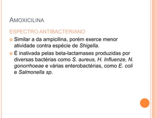 AMOXICILINA
ESPECTRO ANTIBACTERIANO
 Similar a da ampicilina, porém exerce menor
atividade contra espécie de Shigella.
 É inativada pelas beta-lactamases produzidas por
diversas bactérias como S. aureus, H. Influenze, N.
gonorrhoeae e várias enterobactérias, como E. coli
e Salmonella sp.
 