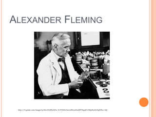 ALEXANDER FLEMING
http://t3.gstatic.com/images?q=tbn:ANd9GcSZw_EvVXXHoTmvmWezaHwQ9T76pqhYvlMpi9ynSzNgSHIyz-AQ
 