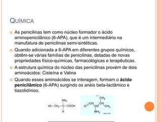 QUÍMICA
 As penicilinas tem como núcleo formador o ácido
aminopenicilânico (6-APA), que é um intermediário na
manufatura de penicilinas semi-sintéticas.
 Quando adicionada a 6-APA em diferentes grupos químicos,
obtêm-se várias famílias de penicilinas, dotadas de novas
propriedades físico-químicas, farmacológicas e terapêuticas.
 A estrutura química do núcleo das penicilinas provém de dois
aminoácidos: Cisteína e Valina
 Quando esses aminoácidos se interagem, formam o ácido
penicilâmico (6-APA) surgindo os anéis beta-lactâmico e
tiazolidínico.
 