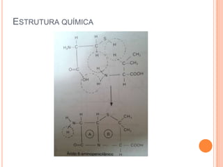 ESTRUTURA QUÍMICA
 