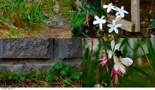 Thursday, May 29, 14
 