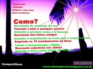 Meus papéis de parede