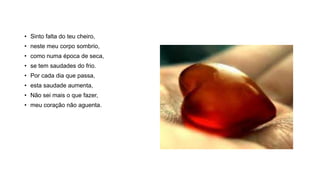 • Sinto falta do teu cheiro,
• neste meu corpo sombrio,
• como numa época de seca,
• se tem saudades do frio.
• Por cada dia que passa,
• esta saudade aumenta,
• Não sei mais o que fazer,
• meu coração não aguenta.
 