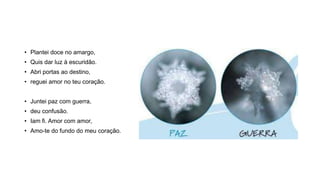• Plantei doce no amargo,
• Quis dar luz à escuridão.
• Abri portas ao destino,
• reguei amor no teu coração.
• Juntei paz com guerra,
• deu confusão.
• Iam fi. Amor com amor,
• Amo-te do fundo do meu coração.
 