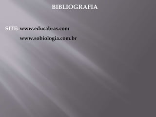BIBLIOGRAFIA
SITE: www.educabras.com
www.sobiologia.com.br
 