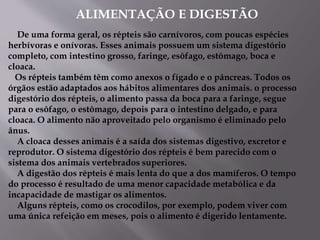 ALIMENTAÇÃO E DIGESTÃO
De uma forma geral, os répteis são carnívoros, com poucas espécies
herbívoras e onívoras. Esses animais possuem um sistema digestório
completo, com intestino grosso, faringe, esôfago, estômago, boca e
cloaca.
Os répteis também têm como anexos o fígado e o pâncreas. Todos os
órgãos estão adaptados aos hábitos alimentares dos animais. o processo
digestório dos répteis, o alimento passa da boca para a faringe, segue
para o esôfago, o estômago, depois para o intestino delgado, e para
cloaca. O alimento não aproveitado pelo organismo é eliminado pelo
ânus.
A cloaca desses animais é a saída dos sistemas digestivo, excretor e
reprodutor. O sistema digestório dos répteis é bem parecido com o
sistema dos animais vertebrados superiores.
A digestão dos répteis é mais lenta do que a dos mamíferos. O tempo
do processo é resultado de uma menor capacidade metabólica e da
incapacidade de mastigar os alimentos.
Alguns répteis, como os crocodilos, por exemplo, podem viver com
uma única refeição em meses, pois o alimento é digerido lentamente.
 