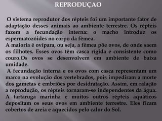 REPRODUÇAO
O sistema reprodutor dos répteis foi um importante fator de
adaptação desses animais ao ambiente terrestre. Os répteis
fazem a fecundação interna: o macho introduz os
espermatozóides no corpo da fêmea.
A maioria é ovípara, ou seja, a fêmea põe ovos, de onde saem
os filhotes. Esses ovos têm casca rígida e consistente como
couro.Os ovos se desenvolvem em ambiente de baixa
umidade.
A fecundação interna e os ovos com casca representam um
marco na evolução dos vertebrados, pois impediram a morte
dos gametas e embriões por desidratação. Assim, em ralação
a reprodução, os répteis tornaram-se independentes da água.
A tartaruga marinha e muitos outros répteis aquáticos
depositam os seus ovos em ambiente terrestre. Eles ficam
cobertos de areia e aquecidos pelo calor do Sol.
 