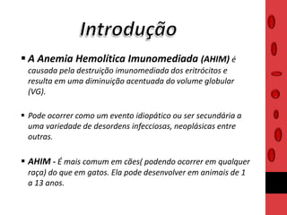  A Anemia Hemolítica Imunomediada (AHIM) é
causada pela destruição imunomediada dos eritrócitos e
resulta em uma diminuição acentuada do volume globular
(VG).
 Pode ocorrer como um evento idiopático ou ser secundária a
uma variedade de desordens infecciosas, neoplásicas entre
outras.
 AHIM - É mais comum em cães( podendo ocorrer em qualquer
raça) do que em gatos. Ela pode desenvolver em animais de 1
a 13 anos.
 