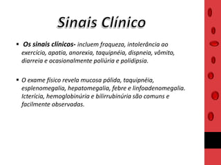  Os sinais clínicos- incluem fraqueza, intolerância ao
exercício, apatia, anorexia, taquipnéia, dispneia, vômito,
diarreia e ocasionalmente poliúria e polidipsia.
 O exame físico revela mucosa pálida, taquipnéia,
esplenomegalia, hepatomegalia, febre e linfoadenomegalia.
Icterícia, hemoglobinúria e bilirrubinúria são comuns e
facilmente observadas.
 