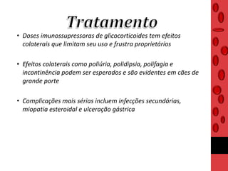 • Doses imunossupressoras de glicocorticoides tem efeitos
colaterais que limitam seu uso e frustra proprietários
• Efeitos colaterais como poliúria, polidipsia, polifagia e
incontinência podem ser esperados e são evidentes em cães de
grande porte
• Complicações mais sérias incluem infecções secundárias,
miopatia esteroidal e ulceração gástrica
 