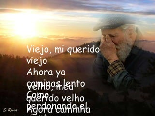 Viejo, mi querido
viejo
Ahora ya
caminas lento
Velho, meu
Como velho
querido
perdonando el
Agora caminha
 