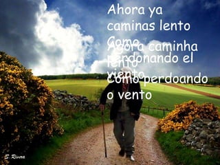 Ahora ya
caminas lento
Como caminha
Agora
perdonando el
lento
vientoperdoando
Como
o vento
 