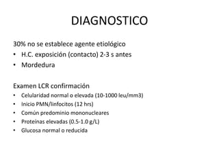 DIAGNOSTICO
30% no se establece agente etiológico
• H.C. exposición (contacto) 2-3 s antes
• Mordedura
Examen LCR confirmación
• Celularidad normal o elevada (10-1000 leu/mm3)
• Inicio PMN/linfocitos (12 hrs)
• Común predominio mononucleares
• Proteínas elevadas (0.5-1.0 g/L)
• Glucosa normal o reducida
 
