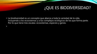 ¿QUE ES BIODIVERSIDAD?
• La biodiversidad es un concepto que abarca a toda la variedad de la vida,
incluyendo a los ecosistemas y a los complejos ecológicos de los que forma parte.
Por lo que tiene tres escalas: ecosistemas, especies y genes.
•
 