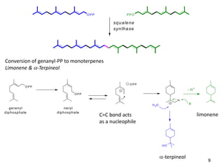 9
O PP PPO
squalene
synthase
Conversion of genanyl-PP to monoterpenes
Limonene & -Terpineol
O PP
OPP
geranyl
diphosphate
neryl
diphosphate
O PP
- H+
H
:B
HO
H2O
C=C bond acts
as a nucleophile
-terpineol
limonene
 