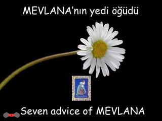 MEVLANA’nın yedi öğüdü Seven advice of MEVLANA 