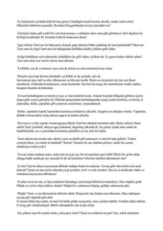 Ey baskasinin yüzünde kötü bir ben gören! Gördügün kendi beninin aksidir, ondan nefret etme!
Müminler birbirinin aynasidir. Bu haberi Peygamberden rivayet etmediler mi?

Gözünün önüne gök renkli bir cam koymussun, o sebepten alem sana gök görünüyor. Kör degilsen bu
körlügü kendinden bil. Kendine kötü de baskasina deme!

Eger mümin Tanri nur ile bakmamis olsaydi; gaip mümine bütün çiplakligi ile nasil görünürdü? Fakat sen
Tanri nuru ile degil Tanri atesi ile baktigindan kötülükte kaldin iyilikten gafil oldun.

Iyiligi kötülükten ayirt edemedin, kötülükten de gafil oldun; iyilikten de. Ey gama kedere dalmis adam!
Azar azar atese nur serp ki atesin nura dönsün.

Ya Rabbi, sen de o tertemiz suyu serp de alemin su atesi tamamiyla nur olsun.

 Denizin suyu hep ferman altindadir; ya Rabbi su da senindir, ates de.
Sen istersen ates, latif su olur; dilemezsen su bile ates kesilir. Bizim su niyazimizi da yine sen ilham
etmektesin. Zulümden kurtulmamiz, senin ihsanindir. Sen bize bu istegi, biz istemeksizin verdin, hadsiz,
hesapsiz ihsanlar da bulundun.

 Tavsan kurtulduguna sevinerek ovaya, av hayvanlarina kostu. Aslanin kuyuda öldügünü görünce çayira
dogru güle oyniya gitmekte idi. Ölümün pençesinden kurtuldugundan ayagi yerden kesilmis, sevinmis; el
çirpmakta, dallar, yapraklar gibi yesermis neselenmis, oynamaktaydi.

Dallar, yapraklar toprak hapsinden kurtulunca baslarini yükseltir, rüzgarin esi arkadasi olurlar. Yapraklar,
daldaki tomurcuklari yarip çikinca agacin ta üstüne çikarlar.

 Her meyve ve her yaprak, tomurcugunun diliyle Tanri'nin sükrünü terennüm eder. Bizim aslimizi ihsan
sahibi Tanri yetistirdi, nihayet agaç kalinlasti, dogrulup yükseldi de. Su çamur içinde olan canlar da
batakliklardan, su ve çamurdan kurtulunca gönülleri sevinç dolu bir halde.

 Tanri askinin havasinda raks ederler; ayin on dördü gibi noksansiz ve tam bir hale gelirler. Tenleri
oynayip durur, ya canlari ne haldedir? Sorma! Tamami ile can olanlara gelince; onlari hiç sorma
(anlatmaya imkan yok!)

Tavsan aslani zindana soktu, aslan için ne ayip sey; bir tavsanciktan geri kaldi! Böyle bir ayiba sahip
oldugu halde sasilacak sey surasidir ki bir de kendisine Fahrettin lakabini takmalarini ister!

Ey kisi! Sen bu dünya kuyusunun dibinde mahpus kalan bir aslansin. Tavsan gibi olan nefsin seni nasil
kahretti? Senin tavsan nefsin sahrada yiyip içmekte, zevk ve sefa etmekte. Sen ise su dedikodu, bahis ve
münakasa kuyusunun dibindesin!

O aslan avcisi tavsan, av hayvanlarinin bulundugu yere kosup birbirinizi mustulayin. Size müjdeci geldi.
Müjde ey zevki sefaya dalmis olanlar! Müjde ki o cehennem köpegi, geldigi cehenneme gitti.

 Müjde! Tanri, o can düsmaninin dislerini söktü. Pençesiyle nice baslar ezen düsmani, ölüm süpürgesi
çerçöp gibi süpürdü gitti dedi.
O zaman bütün hayvanlar, sevinçli bir halde gülüp oynayarak, onun yüzünü öptüler. Etrafina halka oldular.
O çirag gibi ortalarindaydi. Bütün sahradakiler ona secde ettiler.

Sen gökten inen bir melek misin, yoksa peri misin? Hayir ne meleksin ne peri! Sen, erkek aslanlarin
 