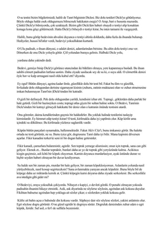 O su testisi bizim bilgilerimizdi; halife de Tanri bilgisinin Diclesi. Biz dolu testileri Dicle'ye götürüyoruz.
Böyle oldugu halde esek oldugumuzu bilmezsek hakikaten esegiz! O Arap, bari o hususta mazurdu.
Çünkü Dicle'yi bilmiyordu, çok uzaktaydi. Bizim gibi Dicle'den haberi olsaydi o testiyi alip konaktan
konaga kona göçe götürmezdi. Hatta Dicle'yi bilseydi o testiyi kirar, bu isten tamami ile vazgeçerdi.

Halife, bunu görüp bedevinin ahvalini duyunca o testiyi altinla doldurdu, daha fazla da ihsanda bulunup.
Hediyeler, hususi hil'atler verdi, bedeviyi yoksulluktan kurtardi.

O Ulu padisah, o ihsan dünyasi, o adalet denizi, adamlarindan birisine. Bu altin dolu testiyi ona ver.
Dönerken de onu Dicle yoluyla götür. Çöl yolundan buraya gelmis. Halbuki Dicle yolu,

yurduna daha yakindir dedi.

 Bedevi, gemiye binip Dicle'yi görünce utancindan iki büklüm olmaya, yere kapanmaya basladi. Bu ihsan
sahibi cömert padisahin lutfuna sastim. Daha ziyade sasilacak sey de su ki, o suyu aldi. O cömertlik denizi
öyle hor ve kalp armagani nasil oldu kabul etti? diyordu.

 Ey ogul! Bütün dünyayi, agzina kadar ilmle, güzellikle dolu bir testi bil. Fakat bu ilim ve güzellik,
fevkalade dolu oldugundan derisine sigamayan kisinin (zuhuru, zatinin muktazasi olan ve zuhur etmemesine
imkan bulunmayan Tanri'nin )Dicle'sinden bir katradir.

O gizli bir defineydi. Pek dolu oldugundan yarildi, kendisini izhar etti. Topragi , göklerden daha parlak bir
hale getirdi. Gizli bir hazineyken costu; topragi atlas giyen bir sultan haline soktu. O Bedevi, Tanrinin
Dicle'sinden bir katrayi görseydi hakikatte bir deniz olan o katranin önünde testisini atardi.

 Onu görenler, daima kendilerinden geçmis bir haldedirler. Bu yokluk halinde testilerini taslayip
kirmislardir. Ey himmet edip testiyi kiran! O testi, kirilmakla daha iyi yapilmis olur. Küp kirilir ama
içindeki su dökülmez. Bu kirilmada yüzlerce saglamlik vardir.

 Küpün bütün parçalari oynamakta, hallenmektedir. Fakat Akl-i Cüz'i, bunu imkansiz görür. Bu halette
ortada ne testi görünür, ne su. Bunu iyice gör, dogrusunu Tanri daha iyi bilir. Mana kapisini döversen
açarlar. Fikir kanadini terket ki seni iri bir dogan haline getirsinler.

Fikir kanadi, çamurlara bulanmistir, agirdir. Sen toprak yemege alismissin; onun için toprak, sana can gibi
geliyor. Ekmek et... Bunlar topraktir, bunlari daha az ye de toprak gibi yeryüzünde kalma. Acikinca
kizgin geçimsiz, asli kötü bir köpek oluyorsun. Karnin doyunca murdarlasiyor, ayak üstünde duran ve
hiçbir seyden haberi olmayan bir duvar kesiliyorsun.

 Su halde sen bir zaman pis, murdar bir hale geliyor, bir zaman köpeklesiyorsun. Aslanlarin yolunda nasil
yürüyebilecek, nasil kosup segirteceksin? Sana avlanmakta yarayan ancak köpektir. Bunu böyle bil de
köpege daha az miktarda kemik at. Çünkü köpegin karni doyarsa daha ziyade serkeslesir. Bu serkeslikle
ava istedigin gibi gider mi?

O Bedeviyi, oraya yoksulluk çekiyordu. Nihayet o kapiyi, o devleti gördü. O penahi olmayan yoksula
padisahin ihsanini hikaye etmistik. Asik, ask diyarinda ne söylerse söylesin, agzindan ask kokusu duyulur.
Fikihtan bahsetse agzindan hep yokluga ait sözler çikar; o sözlerden yokluk kokusu gelir.

Küfre ait bahis açsa o bahsinde din kokusu vardir. Süpheye dair söz söylese sözleri, yakini anlatmis olur.
Egri söylese dogru görünür. O ne güzel egridir ki dogruyu süsler. Dogruluk denizinden zuhur eden o egri
köpük, feridir. Saf asil, o fer'i de saflikla bezemistir.
 