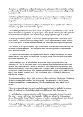 Tavus kusu, bu ögüdü duyunca ona bakti. Sonra da zari, zari aglamaya koyuldu. O dertlini feryadi figani
orada bulunanlari da feryada düsürdü. Neden kanatlarini yoluyorsun diye soran cevapsiz kalip pisman bir
halde aglamali oldu.

 Neden bosbogazlikta bulundum da sordum? O, zaten dertle doluymus, ben onu büsbütün costurdum
diyordu. Gözlerinden akan yaslar topraga damlamakta idi. Damlayan damlalarin her birinde yüzlerce
cevap vardi.

Dogru ve özden aglayis, canlara dokunur, felegi ve arsi bile aglatir. Akil ve gönüller, süphe yok ki arsa
mensuptur, hicap içinde olarak ars nurundan dogarlar.

 Harut'la Marut gibi. O iki temiz melek de bu alemde korkunç bir kuyuda mahpusturlar. Asagilik sehvet
alemine düstüler de suçlari yüzünden bu kuyuda baglana kaldilar. Iyilerle kötüler büyüyü ve büyüyü bozan
seyleri bu iki melekten ögrenirler. Fakat önce kendine gel, büyüyü ögrenme vazgeç bu sevdadan.

 Biz bu büyüyü seni belaya ugratmak ve sinamak için ögretiriz diye ögüt verirler. Sinamada sart ihtiyar
sahibi olmaktir. Kudret elde olmadikça da ihtiyar olamaz. Istekler uyumus köpeklere benzer. Onlardaki
hayir ve ser de gizlidir. Kudretleri olmadigi için bunlar, yere yatmis odun parçalari gibi yatakalmislardir.

 Fakat aralarina pis bir sey atildi mi adeta köpeklere hirs surunu üfürür. O sakaktaki bir esek düsüp öldü
mü uyuyan yüzlerce köpek uyanir. Gayp gizliliginden gitmis olan hirslar, yenlerinden yakalarindan bas
çikarir, hücuma koyulurlar.

 Her köpegin killari dis kesilir hile için kuyruk sallamaya baslarlar. Köpegin belden asagisi hile, belden
yukarisi öfke olur, odun bulmus zayif atese döner. Mekansizlik elinden yalim,yalim gelip çatar, atesten
çikan alev ta göge kadar, agar.

 Bunun için yüzlerce köpek de insanin bedenin de uyumustur. Bir av olmadigi için onlar, adeta
gizlenmislerdir. Yahut da gözleri bagli dogan kuslarina benzerler. Perde ardinda bir av sevdasiyla yanip
tutusurlar. Fakat doganin külahini kaldirdin da avini gördün mü derhal daglara dönüp dolasmaya baslar.
Hastanin istegi yatismistir. Hatiri, yalniz iyilesmektedir. Ama ekmek, elma ve karpuz görünce onu yemek
ister bu istekle zarar korkusu, savasa girisir. Sabrederse bunlari görüsü, iyiligine yarar. Çünkü o heyecana
düsmek, onun gevsemis tabiatina iyi gelir. Fakat sabredemezse görmemesi daha iyidir. Okun zirhsiz
adamdan uzak olmasi yeg!

 Tavus kusu aglamasi bitince dedi ki: Yürü, sen renge ve kokuya kapilmissin. Görmüyorsun ki bu kanatlar
yüzünden her yandan basima yüzlerce bela gelip çatmada. Nice merhametsiz avcilar, bu kanatlar
yüzünden her yanda benim için tuzak kuruyorlar. Nice okçu kanatlarim için yayini çekmis bana ok
atmada.

 Gücüm kuvvetim yok, kendimi koruyamiyorum, bu kazadan, bu beladan, bu fitnelerden kurtulmama
imkan yok. Madem ki is böyle, daglarda, ovalarda emin olabilmek için çirkin olmam daha iyi.

Ey yigit, bu kanatlar, benim ululanma silahim kesildi. Ululanmaysa ululananlari yüzlerce belaya ugratir.
Nice hüner ve sanatlar vardir ki ham kisiyi helak eder. Çünkü o, taneye kosar, bu yüzden de tuzagi
görmez. Ihtiyarina sahip olmak, “Sakinin” emrine uyan ve kendisine sahip olan adam için iyidir. Kendini
koruyamiyor kötülüklerden çekinemiyorsan sakin, o aleti uzaklastirir, ihtiyari birak.

 Benim de cilvelendigim sey ve ihtiyarim, o kanattir. Onu yoluyorum, çünkü basima kastetmede. Sabir
sahibi, kendi kanadini yok farz eder, bu suretle kanadi da onu kötü düsüncelere sevk etmez.
 