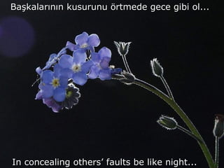 Başkalarının kusurunu örtmede gece gibi ol... In concealing others’ faults be like night... 