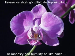 Tevazu ve alçak gönüllülükte toprak gibi ol... In modesty and humility be like earth... 