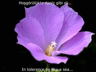 Hoşgörülükte deniz gibi ol... In tolerance be like a sea... 