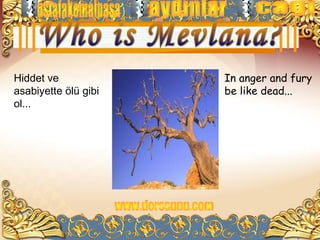 Hiddet ve             In anger and fury
asabiyette ölü gibi   be like dead...
ol...
 