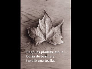 Regó las plantas, ató la bolsa de basura y tendió una toalla.   