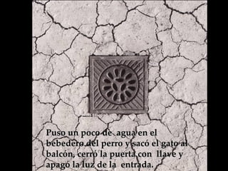Puso un poco de  agua en el bebedero del perro y sacó el gato al balcón, cerró la puerta con  llave y apagó la luz de la  entrada.  