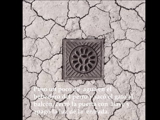 Puso un poco de  agua en el bebedero del perro y sacó el gato al balcón, cerró la puerta con  llave y apagó la luz de la  entrada.  