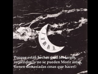 Porque están hechas para los largos recorridos (y no se pueden Morir antes, tienen demasiadas cosas que hacer).  