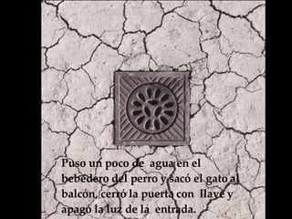 Puso un poco de  agua en el bebedero del perro y sacó el gato al balcón, cerró la puerta con  llave y apagó la luz de la  entrada.  