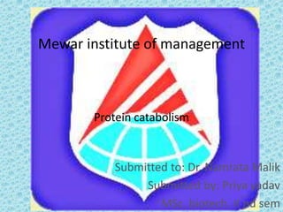 Mewar institute of management
Protein catabolism
Submitted to: Dr. Namrata Malik
Submitted by: Priya yadav
MSc. biotech. II nd sem
 