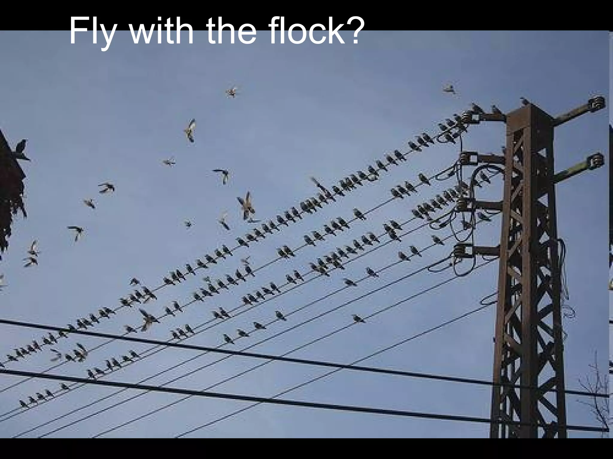 Building social media capacity http://www.flickr.com/photos/sveinhal/2201546999/ 