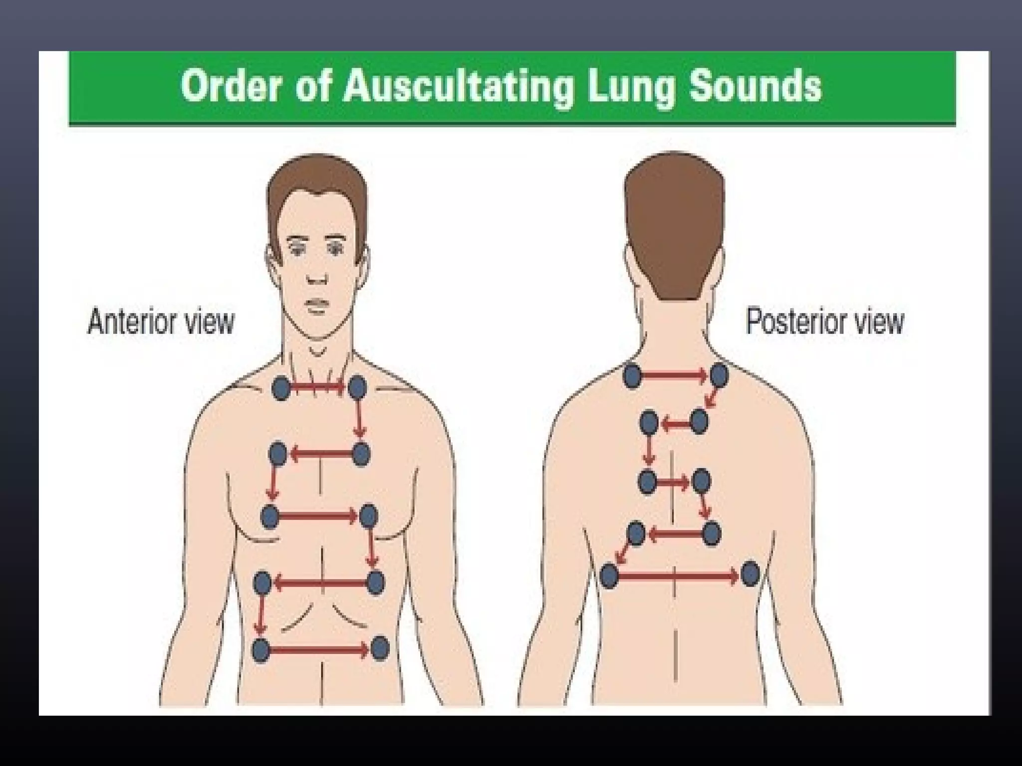 Approach to Lung sounds | PPT