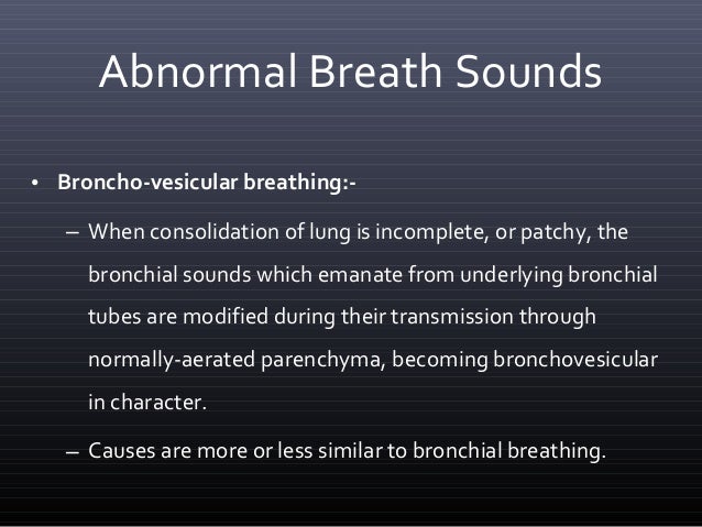 Bronchovesicular breath sounds definition