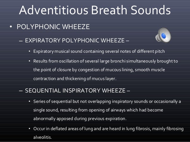 Approach To Lung Sounds