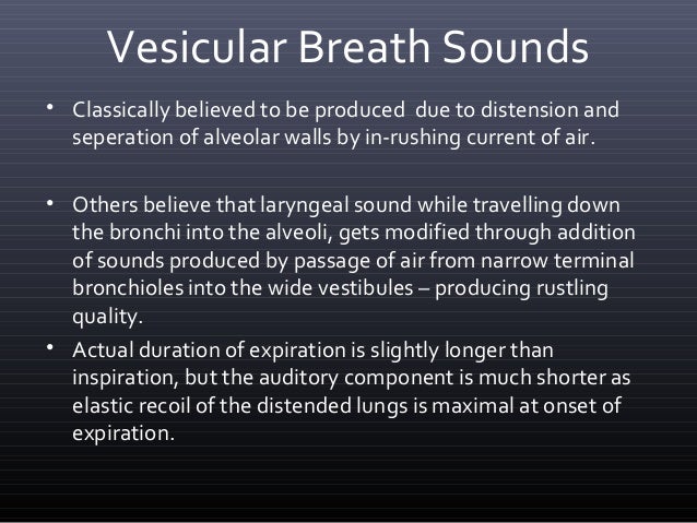 Bronchial Breathing And Vesicular Breathing - bronchitis contagious