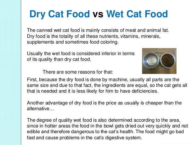 How Much Wet Food Should I Feed My Cat How Much Wet Food Should I Feed My Cat