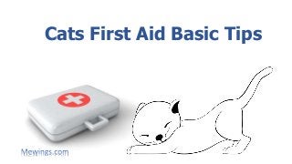 Cats First Aid Basic Tips
 