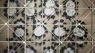 Bild Runde Tische (Übersicht)
 