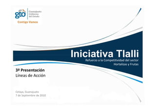 Iniciativa Tlalli
                             Refuerzo a la Competitividad del sector
                                                Hortalizas y Frutas
3ª Presentación
Líneas de Acción


Celaya, Guanajuato
7 de Septiembre de 2010
 